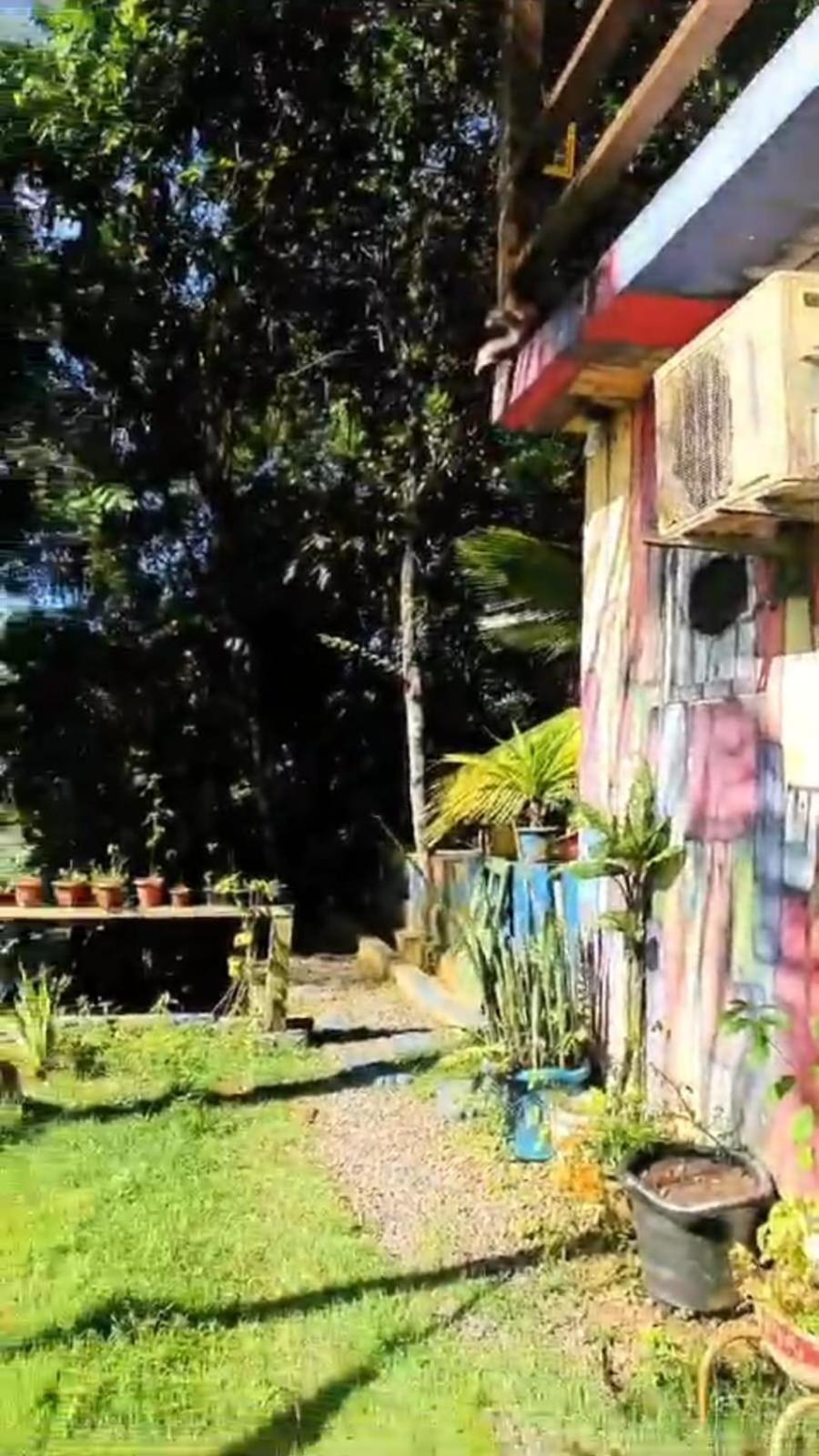 A Figueira Sagrada - Hostel Morro de São Paulo Exterior foto